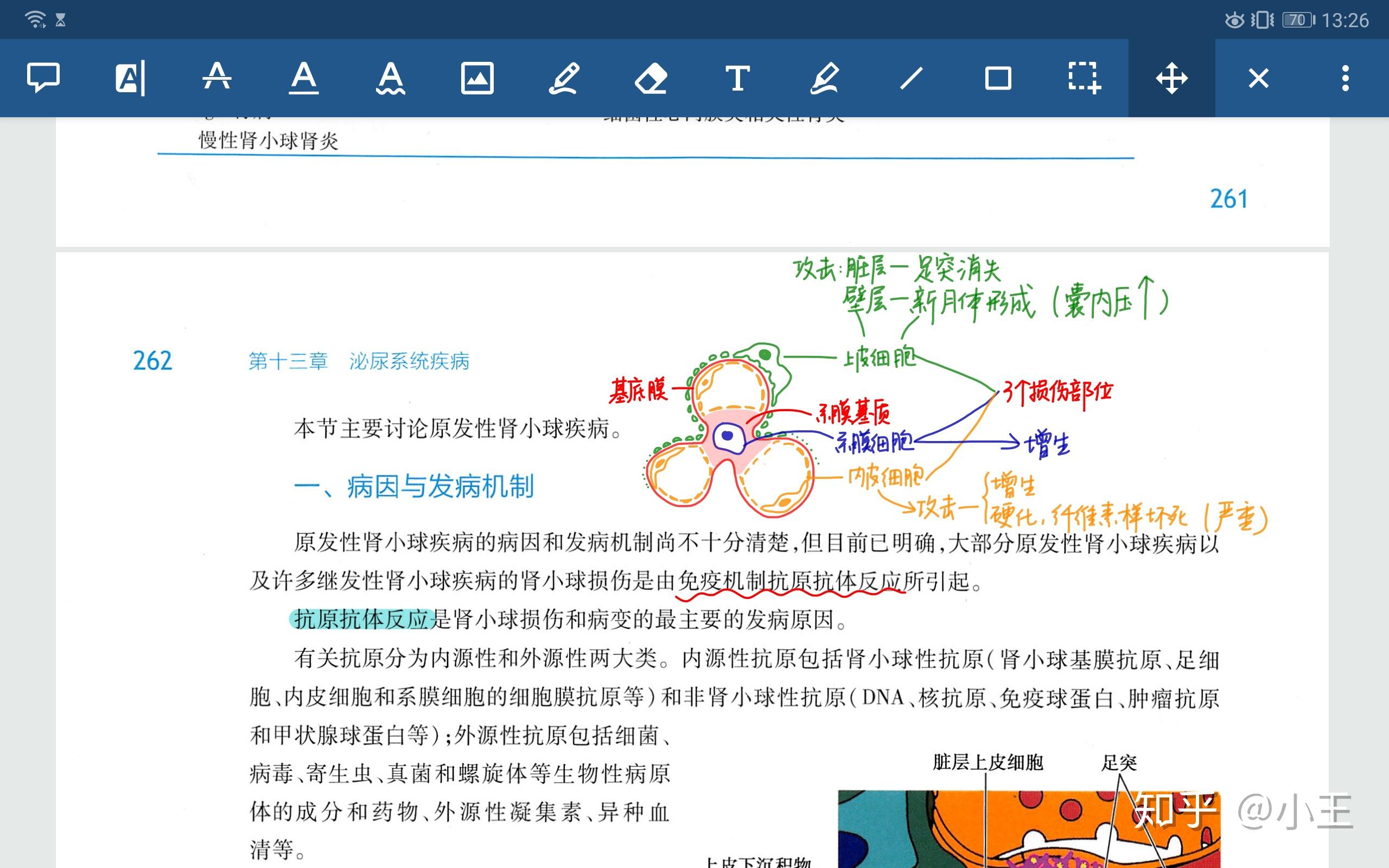 7777788888新版跑狗图解析;精选解释解析落实