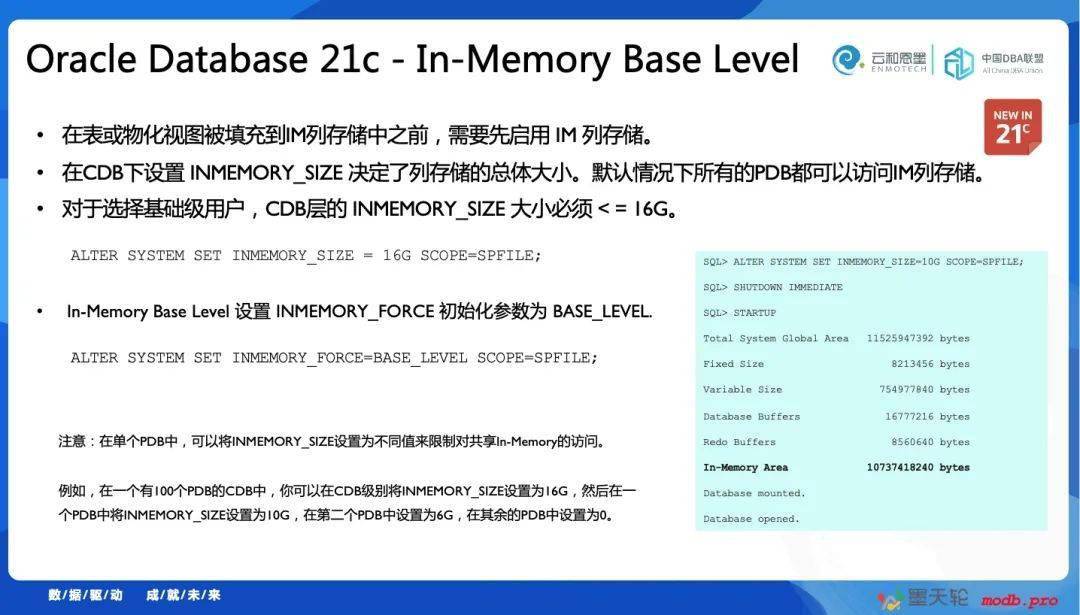 2025新澳正版免费资料的特点;精选解释解析落实