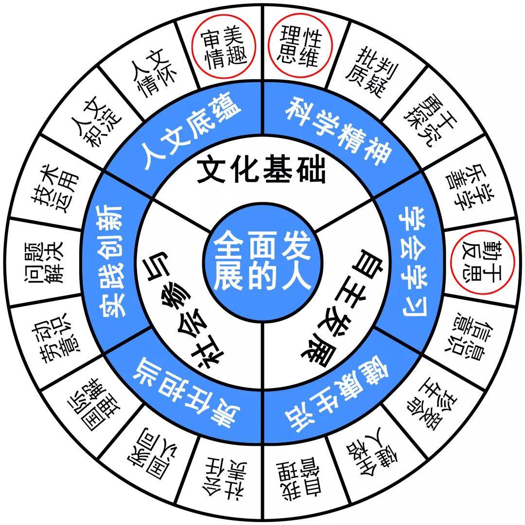 2025年12生肖49码图;精选解释解析落实